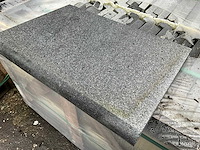 Diorithe zwembadboord 50 lm - afbeelding 1 van  3