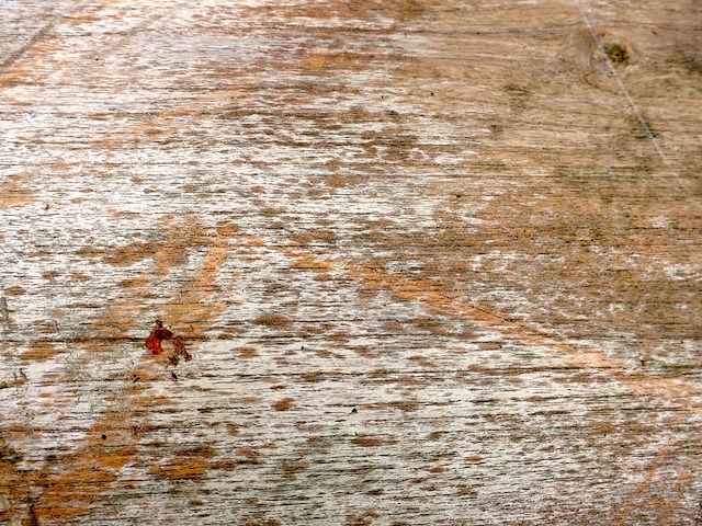 Diphano houten tuintafel (2,8m) - afbeelding 2 van  11