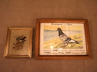 Diploma duivenbond - afbeelding 1 van  6