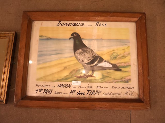 Diploma duivenbond - afbeelding 2 van  6