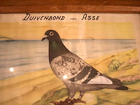 Diploma duivenbond - afbeelding 3 van  6