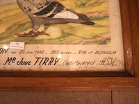 Diploma duivenbond - afbeelding 4 van  6