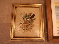 Diploma duivenbond - afbeelding 5 van  6