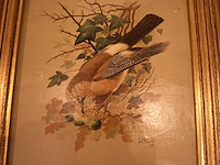 Diploma duivenbond - afbeelding 6 van  6