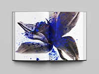 Dirk lambrechts - illuminated - afbeelding 3 van  7