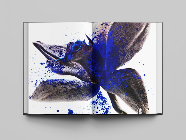 Dirk lambrechts - illuminated - afbeelding 2 van  7