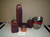 Div bloempotjes - afbeelding 1 van  3