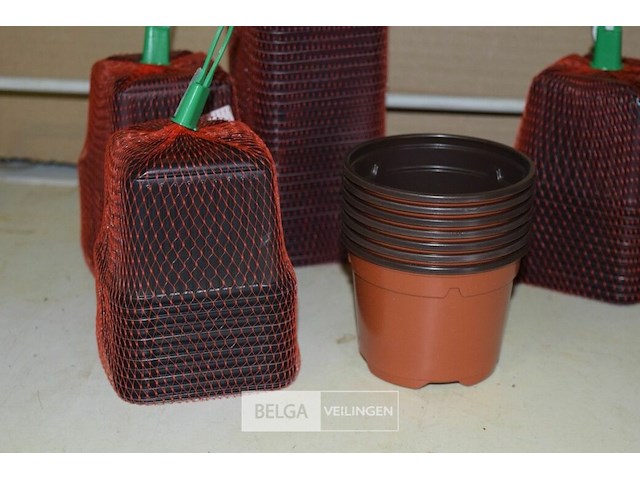 Div bloempotjes - afbeelding 2 van  3