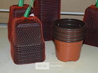 Div bloempotjes - afbeelding 2 van  3