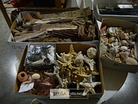 Div decoratie schelpen, zeester en houtschaafsel - afbeelding 1 van  6