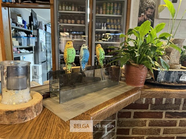 Div decoratie toog - afbeelding 3 van  4