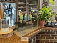 Div decoratie toog - afbeelding 3 van  4