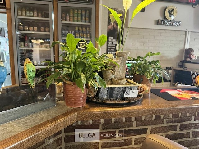 Div decoratie toog - afbeelding 4 van  4