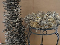 Div decoratie - afbeelding 1 van  6