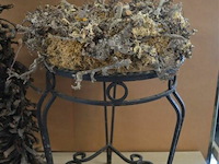 Div decoratie - afbeelding 3 van  6