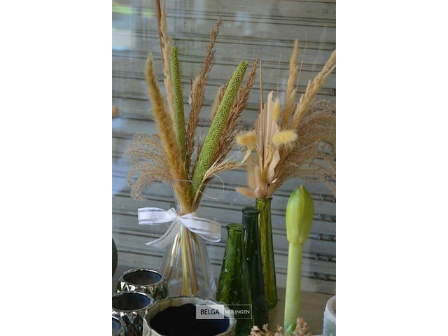 Div decoratie - afbeelding 5 van  5