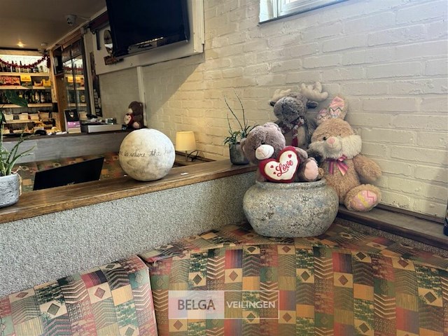 Div decoratie - afbeelding 1 van  9