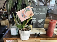 Div decoratie - afbeelding 3 van  6