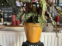 Div decoratie - afbeelding 5 van  7