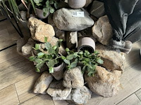 Div decoratie - afbeelding 4 van  9