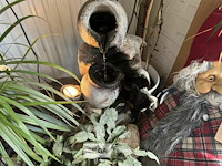 Div decoratie - afbeelding 5 van  9