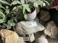 Div decoratie - afbeelding 6 van  9