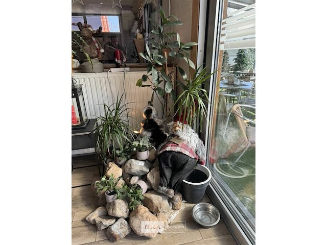 Div decoratie - afbeelding 9 van  9