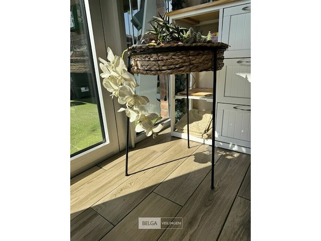 Div decoratie - afbeelding 1 van  5