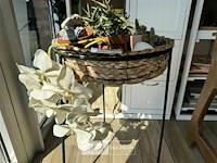 Div decoratie - afbeelding 5 van  5