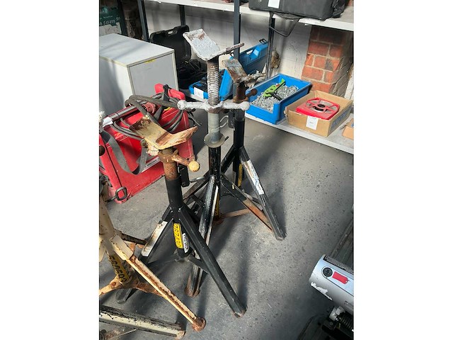 Diverse assteun (5x) - afbeelding 3 van  6