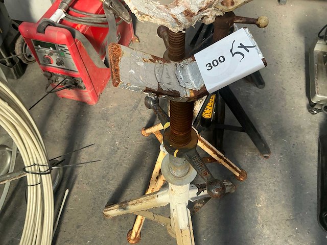 Diverse assteun (5x) - afbeelding 4 van  6