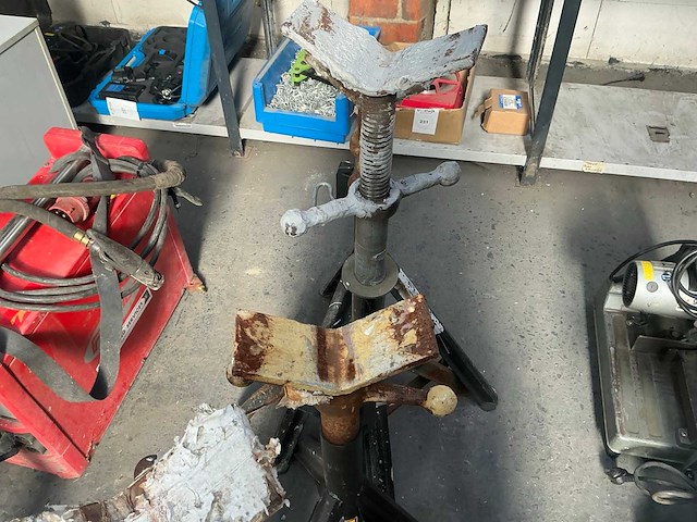 Diverse assteun (5x) - afbeelding 6 van  6