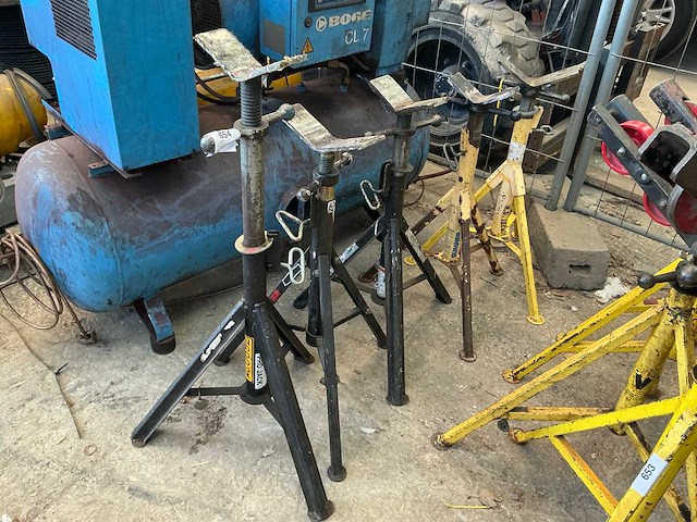 Diverse assteun (5x) - afbeelding 1 van  4