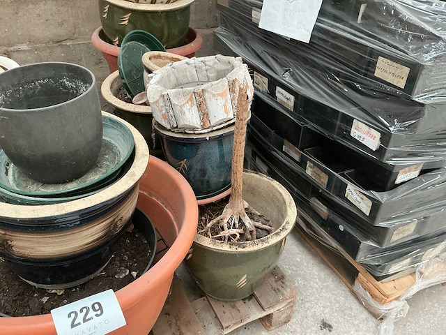 Diverse bloempotten (20x) - afbeelding 2 van  2