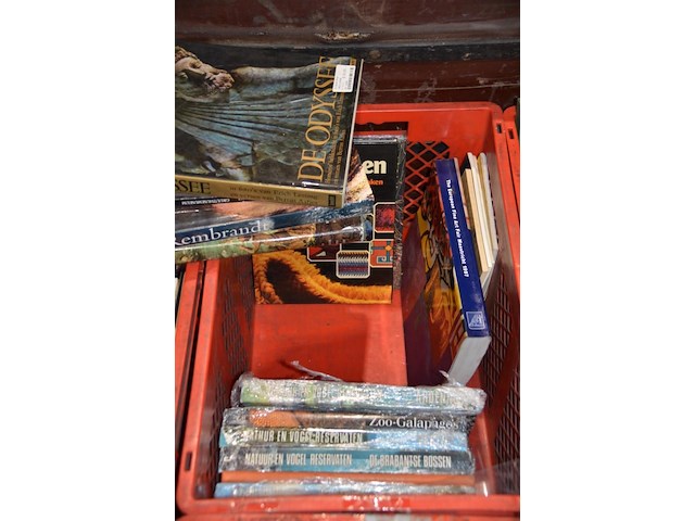 Diverse boeken - afbeelding 2 van  3