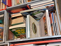 Diverse boeken - afbeelding 2 van  2