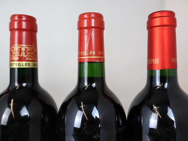 Diverse bordeauxwijnen 1994, 1995, 1996 & 1998 (6x) - afbeelding 3 van  4