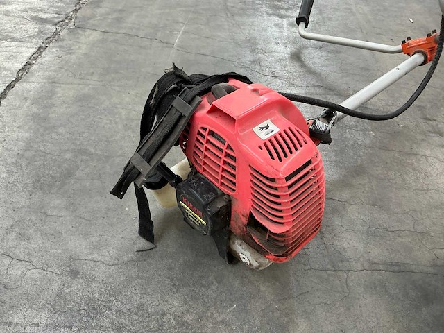 Diverse bosmaaiers (2x) - afbeelding 3 van  9