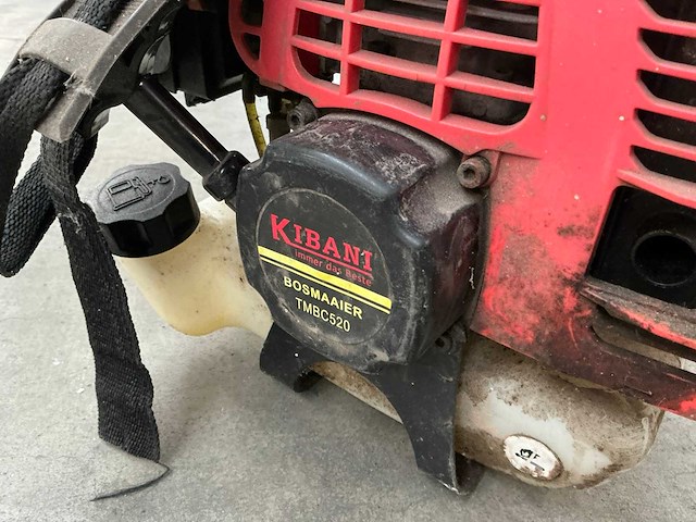 Diverse bosmaaiers (2x) - afbeelding 4 van  9