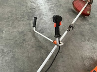 Diverse bosmaaiers (2x) - afbeelding 5 van  9