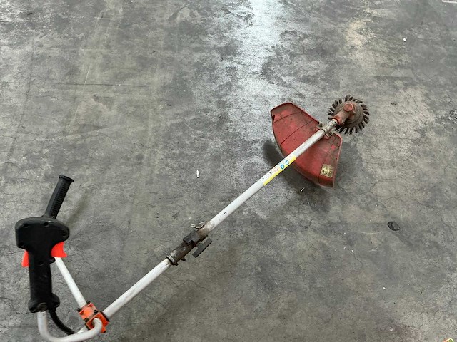 Diverse bosmaaiers (2x) - afbeelding 6 van  9