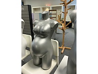 Diverse bustes (3x) - afbeelding 3 van  5