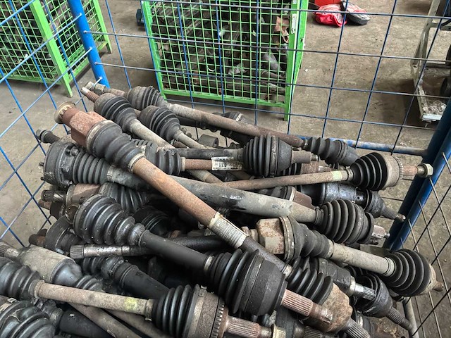 Diverse cardanassen - afbeelding 2 van  6