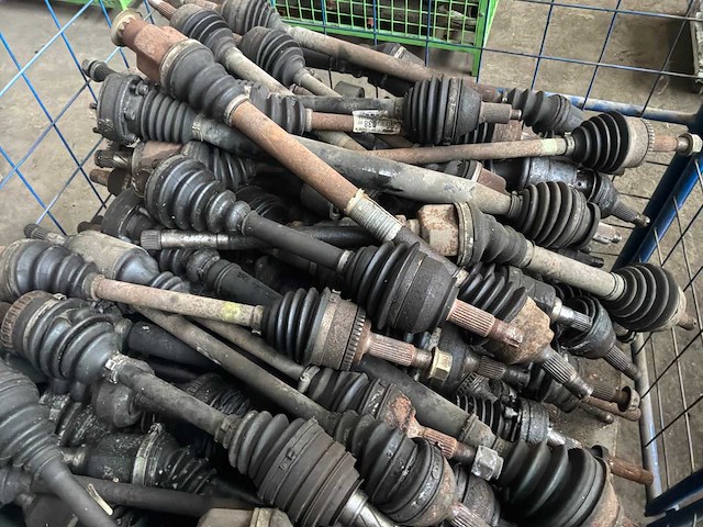 Diverse cardanassen - afbeelding 3 van  6