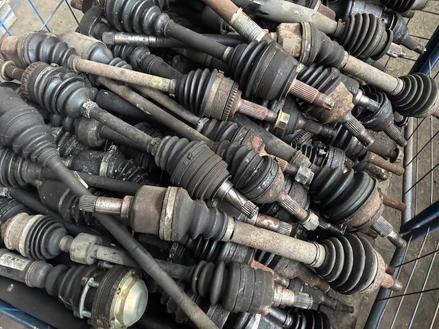 Diverse cardanassen - afbeelding 4 van  6