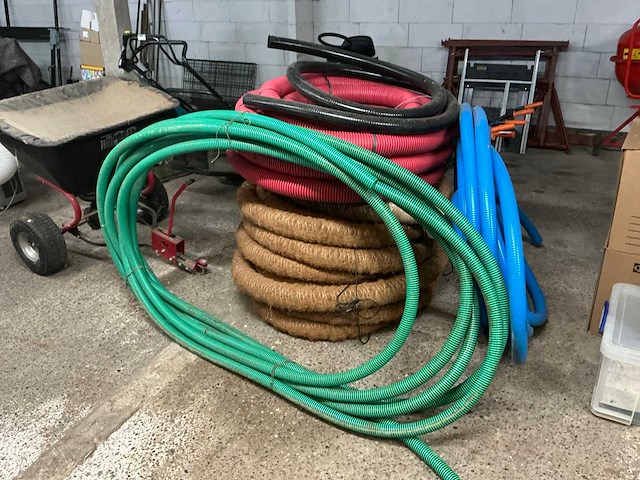 Diverse darmen - afbeelding 1 van  5