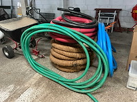 Diverse darmen - afbeelding 1 van  5