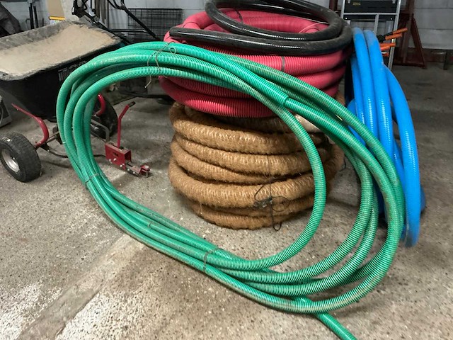 Diverse darmen - afbeelding 2 van  5