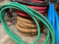 Diverse darmen - afbeelding 5 van  5