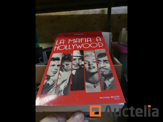 Diverse decoratie en karton met boeken - afbeelding 3 van  11